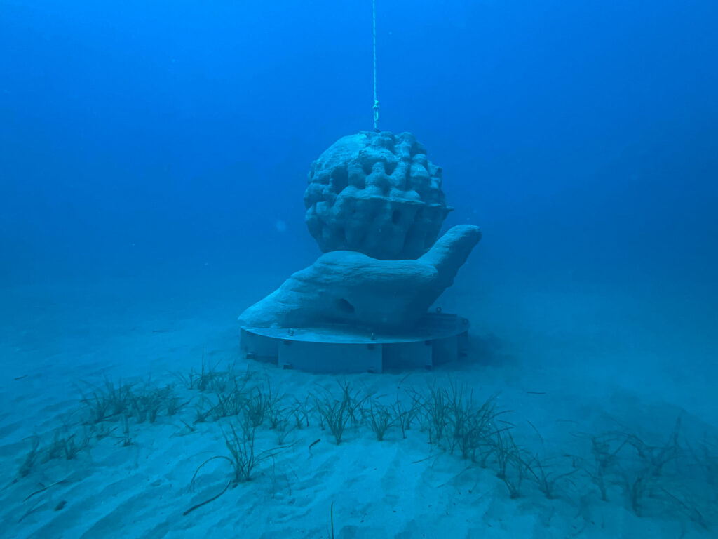 posidonia art reef museo sottomarino